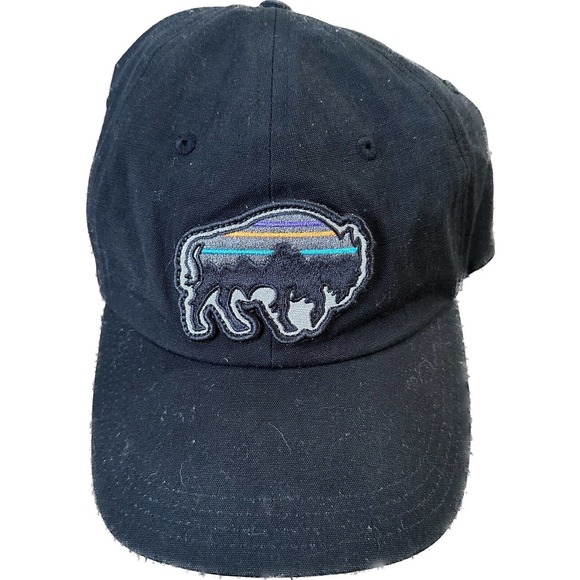 Patagonia Fitz Roy Bison Buffalo Cap Strapback Black Adjustable Hat Netplus - Picture 1 of 7